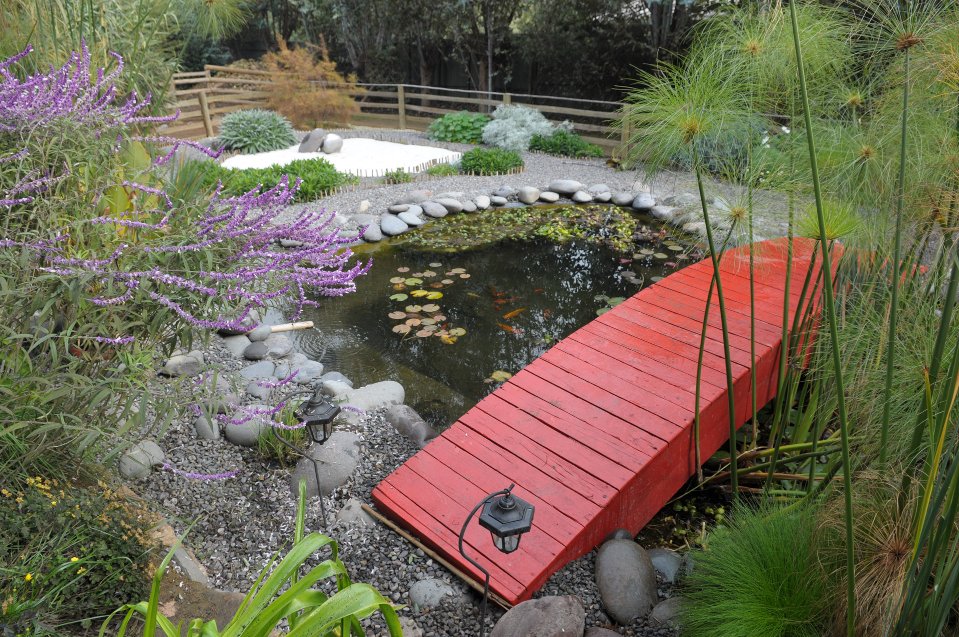 Jardín japonés, pequeño estanque con nenúfares y peces de natación. Diseño  de jardín japonés, jardín de agua de verano en estilo japonés Fotografía de  stock - Alamy